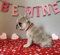 processed/4c992ff0-f24b-4a69-9f02-74589c2a86ab/listing/08d402bd-1b7c-48b0-a765-01d6d083ebc2/3cf4f2ab-faeb-46c3-8023-76f03451019a