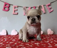 processed/4c992ff0-f24b-4a69-9f02-74589c2a86ab/listing/08d402bd-1b7c-48b0-a765-01d6d083ebc2/8f4988ce-a755-4d5d-9897-aadd93b5fa94