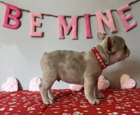 processed/4c992ff0-f24b-4a69-9f02-74589c2a86ab/listing/08d402bd-1b7c-48b0-a765-01d6d083ebc2/b16992a8-15a3-48b8-98d3-e417e24a6a00