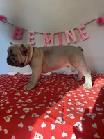 processed/4c992ff0-f24b-4a69-9f02-74589c2a86ab/listing/5adda634-28e5-4e3b-b288-65f96edb8434/4ba1d483-e8b3-4c8e-882a-ab8a1037c93b