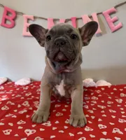 processed/4c992ff0-f24b-4a69-9f02-74589c2a86ab/listing/5adda634-28e5-4e3b-b288-65f96edb8434/5603589d-a38a-4886-884e-febef3b77dd2