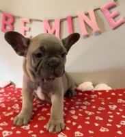 processed/4c992ff0-f24b-4a69-9f02-74589c2a86ab/listing/5adda634-28e5-4e3b-b288-65f96edb8434/9a60ddb2-323a-444b-a1d3-52d5ecc43acd