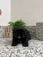 processed/4c9a91f3-dcff-4555-b899-50461563146d/listing/da4ddccc-cd39-4be0-b6e4-e10db960c98a/e9769102-3ddc-40da-8e71-232a929d2c1e