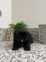 processed/4c9a91f3-dcff-4555-b899-50461563146d/listing/da4ddccc-cd39-4be0-b6e4-e10db960c98a/f5ad51db-db69-46bf-b3d0-dc46829d0b6a