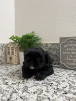 processed/4c9a91f3-dcff-4555-b899-50461563146d/listing/da4ddccc-cd39-4be0-b6e4-e10db960c98a/fc35eeef-8883-4e15-9fac-1d4238703747