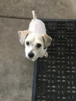 processed/4cab13a7-b618-4a11-a2f0-4b440953631d/listing/af659091-1fa2-48dd-a6d2-c69794580be4/52308a57-4cab-4358-8782-23f0a88c5c14