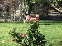 processed/4ce63820-fb85-4242-8182-00175320459d/facility/85f10043-dc4c-40f0-9632-d478903ddd6c