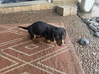 processed/4ced8829-ee12-4137-b73b-5bff779abc38/listing/4fad6b45-bcd5-4639-8485-efff71e6611a/637d6c90-2cf1-4b0c-89e9-409b829924b8