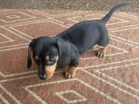 processed/4ced8829-ee12-4137-b73b-5bff779abc38/listing/4fad6b45-bcd5-4639-8485-efff71e6611a/81b6eb19-bce8-42f3-9336-505d98f1538a