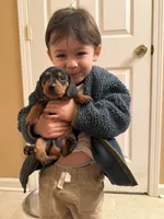 processed/4ced8829-ee12-4137-b73b-5bff779abc38/listing/4fad6b45-bcd5-4639-8485-efff71e6611a/8e7b599b-e1e0-440c-b7a1-ef9d8cb68074