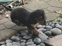 processed/4ced8829-ee12-4137-b73b-5bff779abc38/listing/4fad6b45-bcd5-4639-8485-efff71e6611a/942577e5-968e-42ee-aedb-91c41579f396