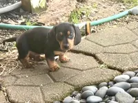 processed/4ced8829-ee12-4137-b73b-5bff779abc38/listing/4fad6b45-bcd5-4639-8485-efff71e6611a/9bce4066-fe33-4706-8158-bcbdf28f3d4a