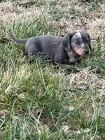 processed/4ced8829-ee12-4137-b73b-5bff779abc38/listing/8f3daea9-3c13-4e46-a179-93aa470d9a77/3cbba8b9-c87e-40ca-820c-39a3410e2ba4