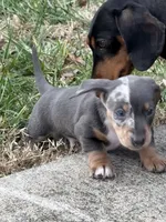 processed/4ced8829-ee12-4137-b73b-5bff779abc38/listing/8f3daea9-3c13-4e46-a179-93aa470d9a77/4a76d1dd-a6a0-40ad-a171-f08967ebb6ab