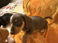 processed/4ced8829-ee12-4137-b73b-5bff779abc38/listing/8f3daea9-3c13-4e46-a179-93aa470d9a77/ba7f65d1-bc46-470b-8e52-891c32f789b1