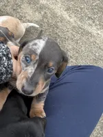 processed/4ced8829-ee12-4137-b73b-5bff779abc38/listing/8f3daea9-3c13-4e46-a179-93aa470d9a77/f1680a80-e837-45c0-9917-0880f125ab09