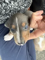 processed/4ced8829-ee12-4137-b73b-5bff779abc38/listing/ecb9d82c-fb7a-47c4-8742-e26586f777dc/143ca175-3086-496f-ac9a-26e862a70d5d