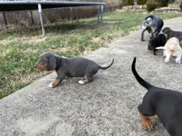 processed/4ced8829-ee12-4137-b73b-5bff779abc38/listing/ecb9d82c-fb7a-47c4-8742-e26586f777dc/3756fd64-66c4-4434-b3fe-ba5ec4f50352