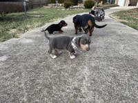 processed/4ced8829-ee12-4137-b73b-5bff779abc38/listing/ecb9d82c-fb7a-47c4-8742-e26586f777dc/7ed29445-e190-4617-895b-26f1edeffc93