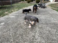 processed/4ced8829-ee12-4137-b73b-5bff779abc38/listing/ecb9d82c-fb7a-47c4-8742-e26586f777dc/a9b6eada-75ed-4cbc-ac1d-6b16478e577b