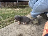 processed/4ced8829-ee12-4137-b73b-5bff779abc38/listing/ecb9d82c-fb7a-47c4-8742-e26586f777dc/bae1eaf3-80fa-4b75-8a64-0e014885333a