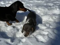 processed/4ced8829-ee12-4137-b73b-5bff779abc38/listing/ecb9d82c-fb7a-47c4-8742-e26586f777dc/da0e4f35-97d1-4211-9ed0-621d3ac76e29