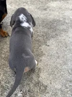 processed/4ced8829-ee12-4137-b73b-5bff779abc38/listing/ecb9d82c-fb7a-47c4-8742-e26586f777dc/f4c44ce8-9aeb-41be-b5af-68a57a443bcd