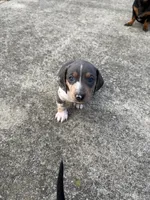 processed/4ced8829-ee12-4137-b73b-5bff779abc38/listing/ecb9d82c-fb7a-47c4-8742-e26586f777dc/f9a2ff76-7aa4-4160-84c9-063a71bd9a50