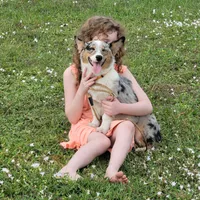 processed/4cf6d873-0658-40d0-94fc-8b7c47402689/facility/13fb8516-0c14-4a2c-bd73-9e9b9b1e2ffe