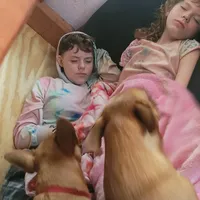 processed/4cf6d873-0658-40d0-94fc-8b7c47402689/facility/7f55930b-7b87-420b-bf7e-a85da003d5fb