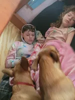 processed/4cf6d873-0658-40d0-94fc-8b7c47402689/facility/7f55930b-7b87-420b-bf7e-a85da003d5fb