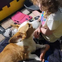 processed/4cf6d873-0658-40d0-94fc-8b7c47402689/facility/8ba75265-20a6-4482-81ce-62ab1697b6e3