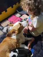 processed/4cf6d873-0658-40d0-94fc-8b7c47402689/facility/8ba75265-20a6-4482-81ce-62ab1697b6e3