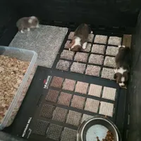 processed/4cf6d873-0658-40d0-94fc-8b7c47402689/facility/99be7168-2850-4eba-9804-bf1cdd533876