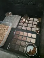 processed/4cf6d873-0658-40d0-94fc-8b7c47402689/facility/99be7168-2850-4eba-9804-bf1cdd533876