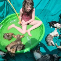 processed/4cf6d873-0658-40d0-94fc-8b7c47402689/facility/9fdf6ab1-5727-4cf5-9bc4-23485452b8ad