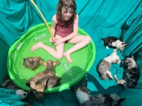 processed/4cf6d873-0658-40d0-94fc-8b7c47402689/facility/9fdf6ab1-5727-4cf5-9bc4-23485452b8ad