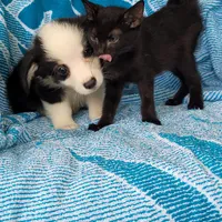 processed/4cf6d873-0658-40d0-94fc-8b7c47402689/facility/a3b000a7-7255-4707-b3b7-030701157580