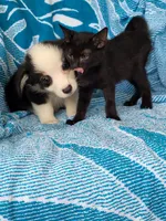 processed/4cf6d873-0658-40d0-94fc-8b7c47402689/facility/a3b000a7-7255-4707-b3b7-030701157580