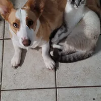 processed/4cf6d873-0658-40d0-94fc-8b7c47402689/facility/a5dc6770-6f91-465e-82d2-0f155402b0d7