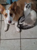 processed/4cf6d873-0658-40d0-94fc-8b7c47402689/facility/a5dc6770-6f91-465e-82d2-0f155402b0d7