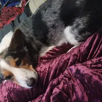 processed/4cf6d873-0658-40d0-94fc-8b7c47402689/facility/afb513d4-7685-4b1d-82b1-3e4d8e1ca79b