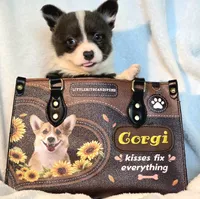 DOLLY, a female Cardigan Welsh Corgi and Pembroke Welsh Corgi for sale in Bradenton, FL – 5 of 10