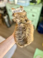 processed/4d05892a-fa14-4878-b074-5497f9735d1a/listing/f83d5247-deed-47c5-a19f-75d0bd6b24ba/438cbea7-7bce-42ba-8a84-0aa76b089628