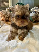 processed/4d05892a-fa14-4878-b074-5497f9735d1a/listing/f83d5247-deed-47c5-a19f-75d0bd6b24ba/b3f212de-dc36-4828-a176-08dcb2b9cbce