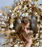 processed/4d05892a-fa14-4878-b074-5497f9735d1a/listing/f83d5247-deed-47c5-a19f-75d0bd6b24ba/cf9f686a-25f9-47d3-9e7b-2fb0c689a9dd