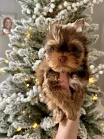 processed/4d05892a-fa14-4878-b074-5497f9735d1a/listing/f83d5247-deed-47c5-a19f-75d0bd6b24ba/e25d36f3-2b2d-463f-bbc2-e4c45ba4c22e