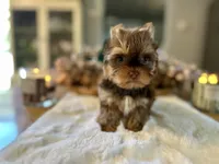 processed/4d05892a-fa14-4878-b074-5497f9735d1a/listing/f83d5247-deed-47c5-a19f-75d0bd6b24ba/e5a0b24c-0537-447c-8e32-643cf1685eaf