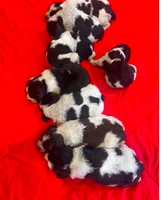 Harlow, a male English Springer Spaniel for sale in Sherwood, OR – 5 of 5