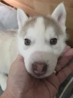 processed/4d0fc4be-0fd3-4c09-b2ae-7c0e9e8a03c6/listing/411b83a9-6085-4c1f-b075-0e227623f0c1/0ffdc7c2-d208-4784-ba39-5a256762d1f5